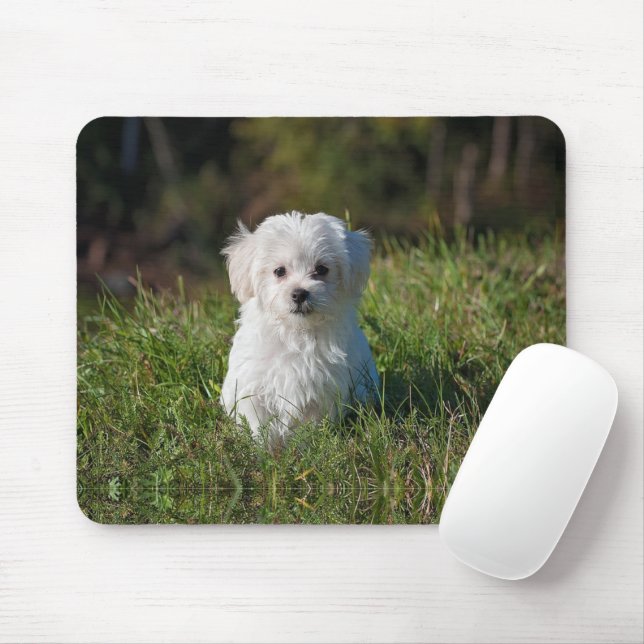 Süßer weißer Welpe Mousepad (Mit Mouse)