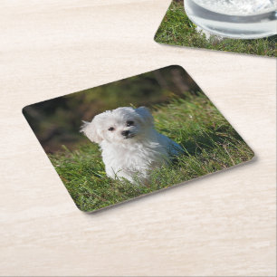 Süßer weißer Welpe Rechteckiger Pappuntersetzer