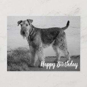 Süßer Welpe Airedale Terrier Alles Gute zum Geburt Postkarte