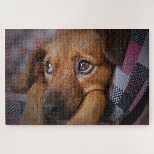 Süßer Welpe Hund (Horizontal)