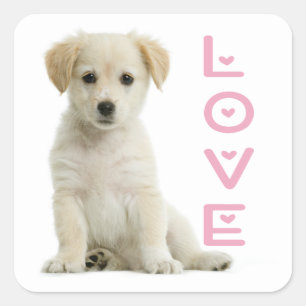 Süßer Welpe Hund Liebhaber Golden Retriever Quadratischer Aufkleber