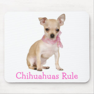 Süßer Welpe Hundeliebhaber Lustiger Chihuahua Mousepad
