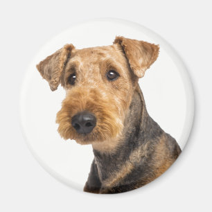 Süßer Welpe Hundemama Airedale Terrier Liebhaber Magnet