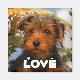 Süßer Welpe Hundemama Airedale Terrier Liebhaber Magnet