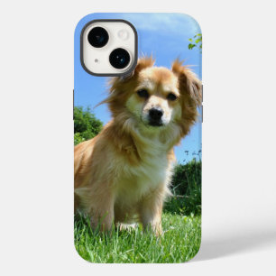 Süßer Welpe im Garten Foto Case-Mate iPhone 14 Hülle