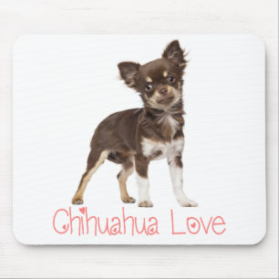 Süßer Welpen-Hund-Geschenk Langhaar lustiger Chihu Mousepad