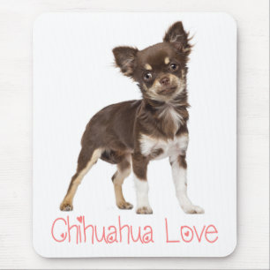 Süßer Welpenhund-Geschenk Langhaariger Lustiger Ch Mousepad