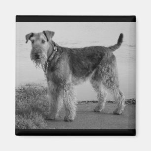 Süßer Welpenhund Mutter Hundeliebhaber Airedale Te Magnet