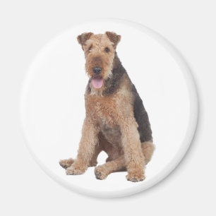 Süßer Welpenhund Mutter Hundeliebhaber Airedale Te Magnet