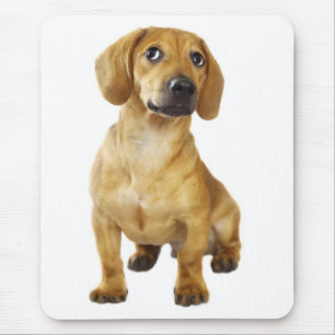 Süßer Wiener Welpe Hund Doxie Geschenk Dascshund Mousepad