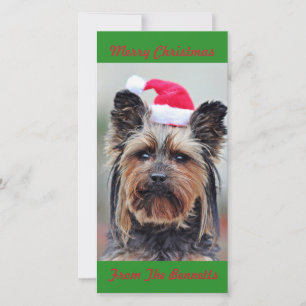 SÜßER YORKIE IN SANTA-HUT FLACH FEIERTAGSKARTE