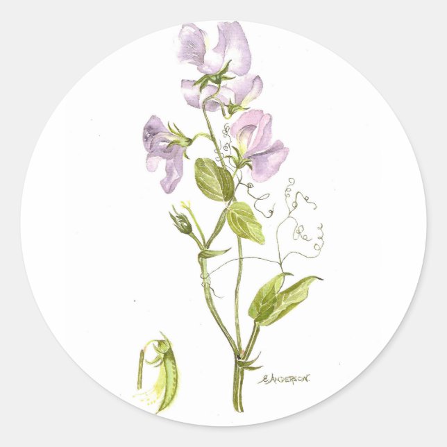 Süßerbse Runder Aufkleber (Vorderseite)