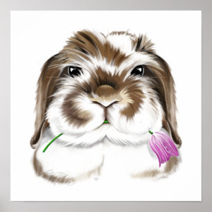 Süßes Amerikanisches Fuzzy Lop Kaninchen mit rosa  Poster