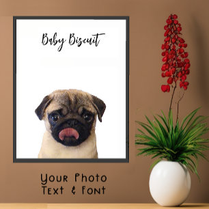 Süßes Baby-Biscuit-Mops-Porträtposter Poster