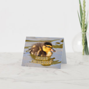 Süßes Baby Entlein im Teich Alles Gute zum Geburts Karte
