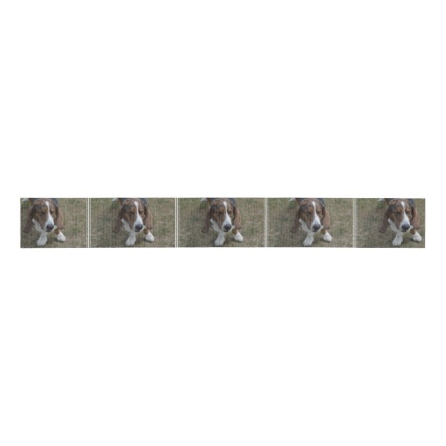 Süßes Basset Hound Ripsband (Vorderseite)
