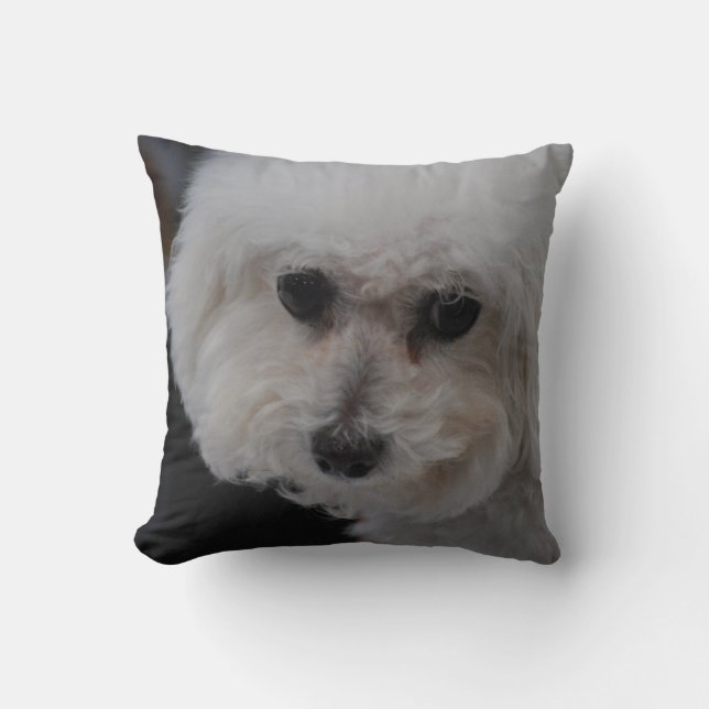 Süßes Bichon Frise Kissen (Vorderseite)