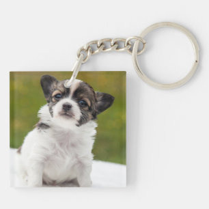 Süßes Chihuahua-Welpen-Foto Schlüsselanhänger