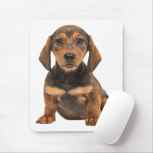 Süßes Doxin Wiener Welpen-Hundeliebhaber-Geschenk Mousepad