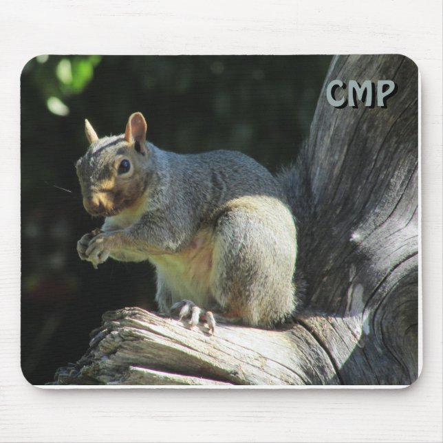 Süßes Eichhörnchen mit Ihren Initialen Mousepad (Vorne)