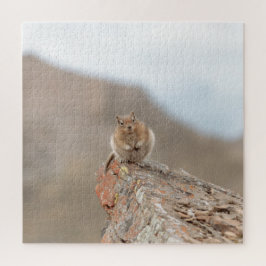 Süßes Eichhörnchen-Rätsel
