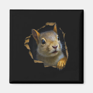 Süßes Eichhörnchen zerrissenes Tuch 3D Grafik Prem Magnet