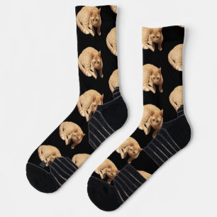Süßes Foto einer roten Katze Socken