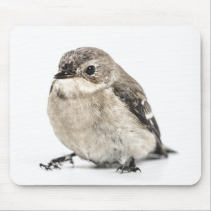 Süßes Foto eines kleinen Gartenvogels Mousepad