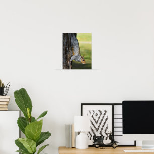 Süßes Foto eines Östlichen Grauhörnchens in der Na Poster