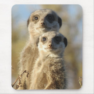 Süßes Foto von einem Paar Erdmännchen Mousepad