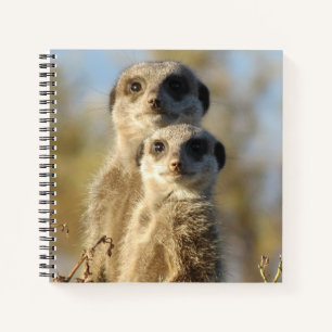 Süßes Foto von einem Paar Erdmännchen Notizbuch