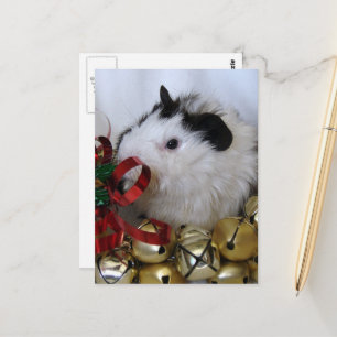 Süßes Frohe Weihnachten Baby Meerschweinchen Postkarte
