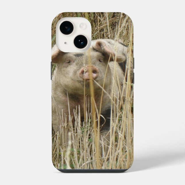Süßes geflecktes Schwein iPhone Hülle (Rückseite)