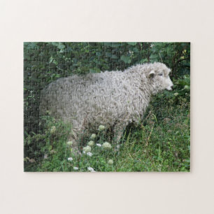 Süßes gieriges Schaf, das Puzzle isst