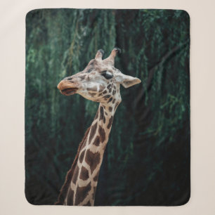 SÜßES GIRAFFENPORTRAIT SHERPADECKE
