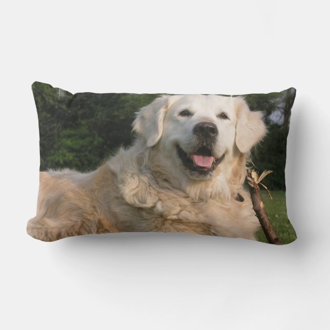 Süßes golden retriever-Kissen Lendenkissen (Vorderseite)