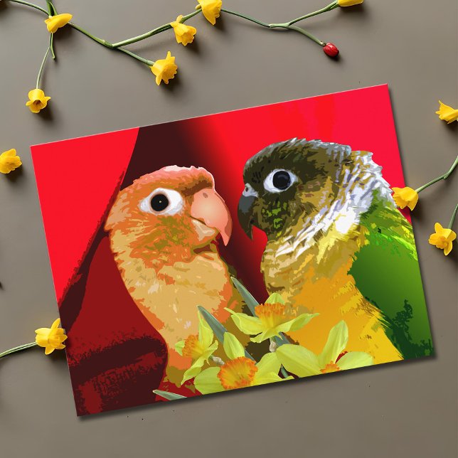 Süßes Grünes Käsekuchen, Liebe Papagei Postkarte (Sweet green cheek conure couple valentine postcard)