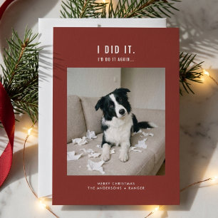 Süßes Haustier Lustiges Hunde-Foto Weihnachten