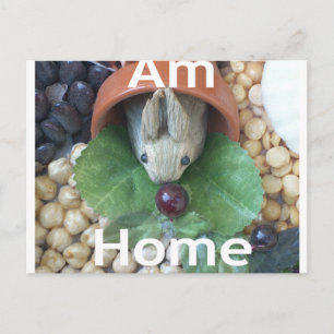 Süßes Kaninchen beim Snacken Postkarte