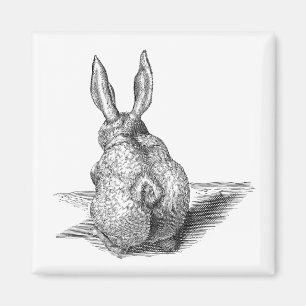 Süßes Kaninchen Magnet