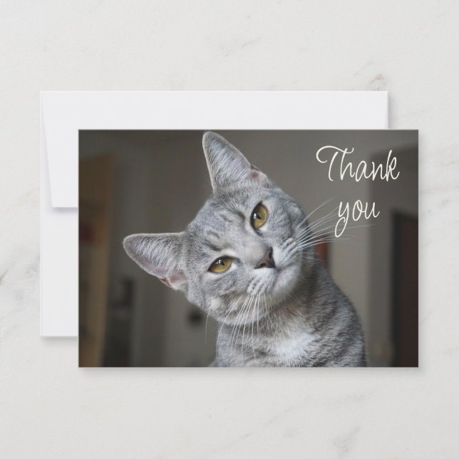 Süßes Kätzchen Katze Danke (Vorderseite)