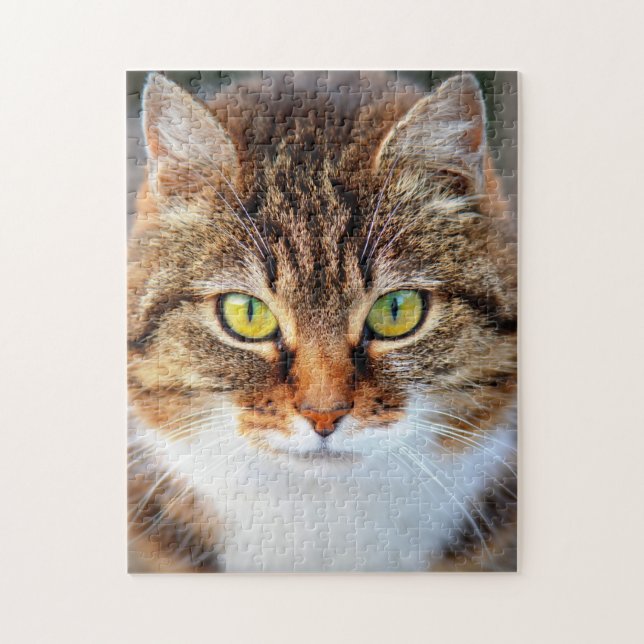 Süßes Katzen-Gesicht (Vertikal)