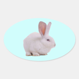 Süßes Kawaii-Kaninchen Ovaler Aufkleber