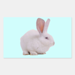 Süßes Kawaii-Kaninchen Rechteckiger Aufkleber