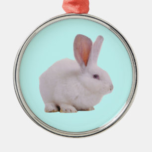 Süßes Kawaii-Kaninchen Silbernes Ornament