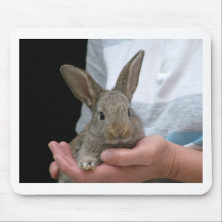 süßes kleines Kaninchen Mousepad