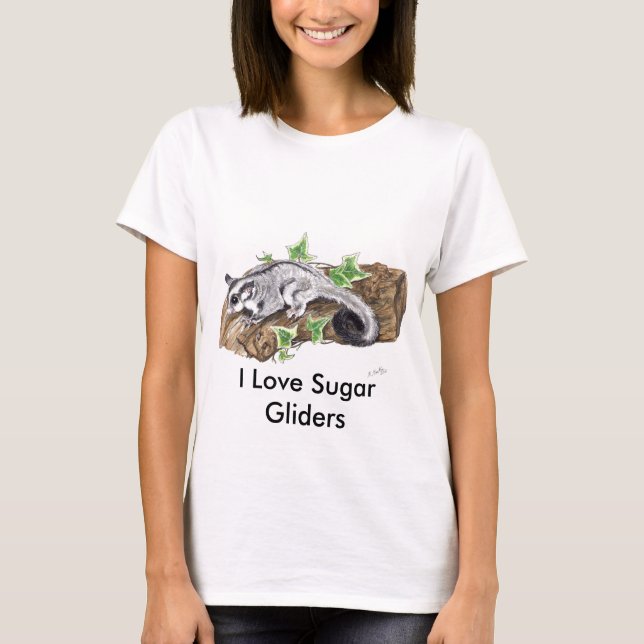 Süßes kleines Zuckersegelflugzeug Joey T-Shirt (Vorderseite)