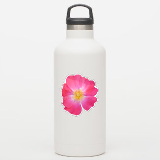 Süßes, Mädchenhaftes, Lebendiges, Heiß Rosa Wilde Aufkleber