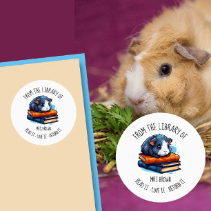 Süßes Meerschweinchen beim Bücherlesen Sticker B
