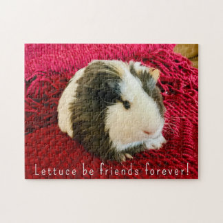 Süßes Meerschweinchen-Puzzle 
